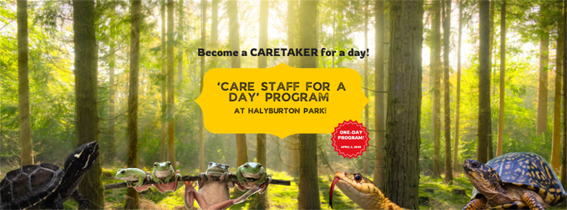 Become a CARETAKER for a day!.png