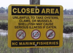 Closed shellfish harvest area sign