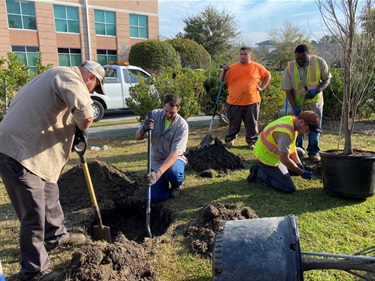 Staff plant bald cypress trees at Fire Station 9.