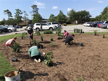 Volunteers planting a rain garden.