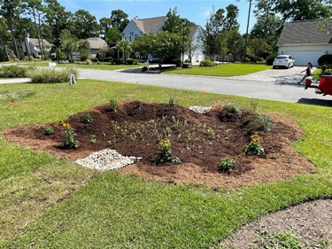 Rain Garden