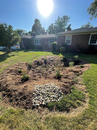 Rain Garden