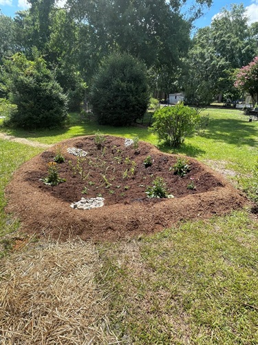 Rain Garden