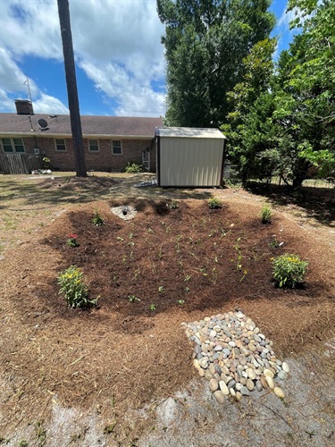 Rain Garden