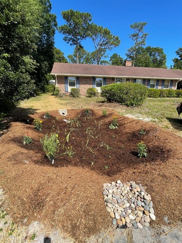 Rain Garden