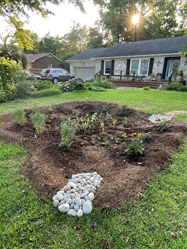 Rain Garden