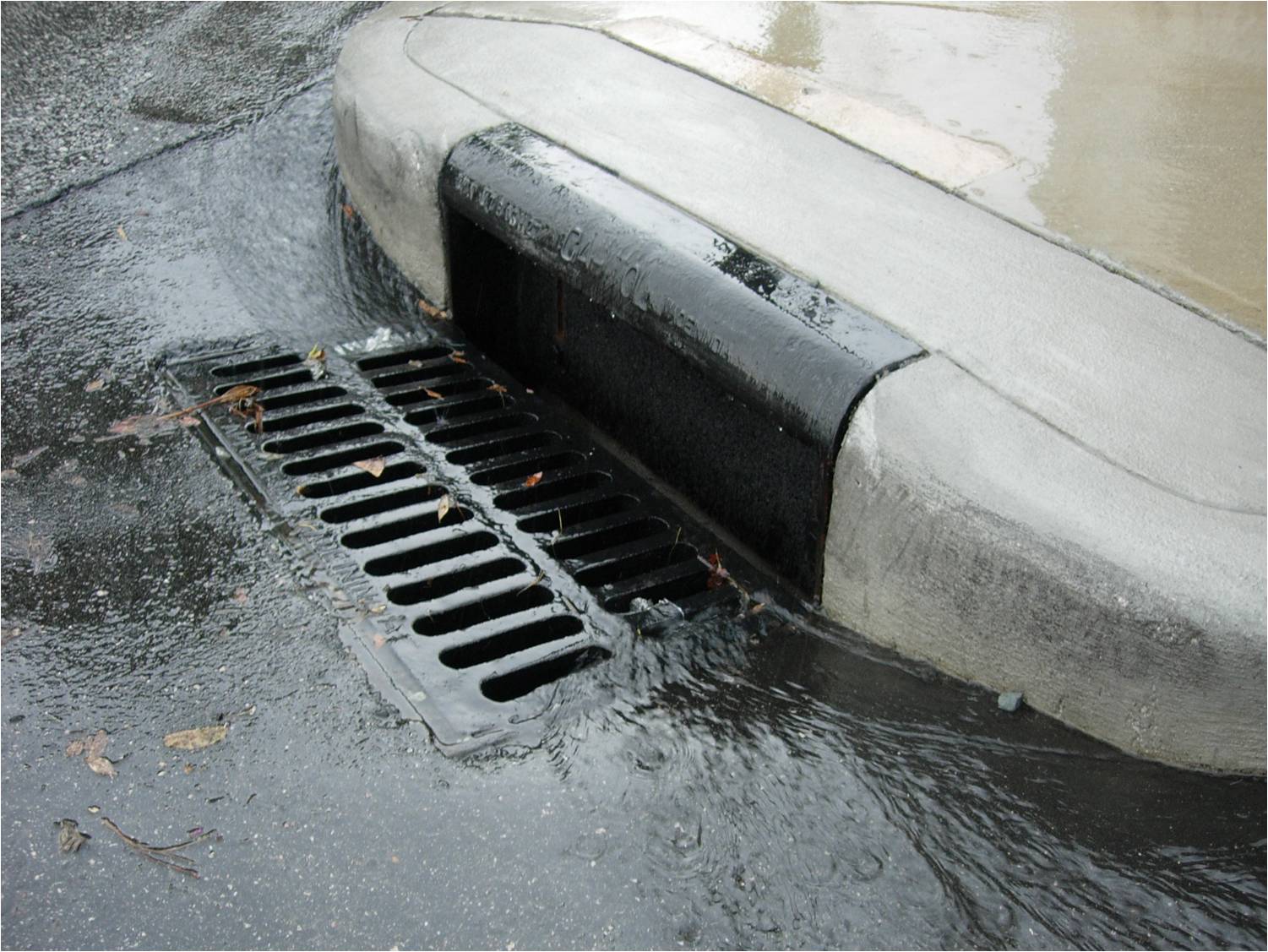 Storm drain along a curb.